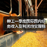柳工一季度国际国内业务收入及利润均实现稳定增长(图2) 柳工一季度国际国内业务收入及利润均实现稳定增长(图2)