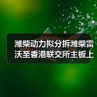 潍柴动力拟分拆潍柴雷沃至香港联交所主板上市(图1) 潍柴动力拟分拆潍柴雷沃至香港联交所主板上市(图1)