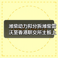 潍柴动力拟分拆潍柴雷沃至香港联交所主板上市(图4) 潍柴动力拟分拆潍柴雷沃至香港联交所主板上市(图4)