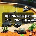 柳工2024年营收超300亿元,2025年收入目标为346亿元(图3) 柳工2024年营收超300亿元,2025年收入目标为346亿元(图3)