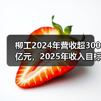 柳工2024年营收超300亿元,2025年收入目标为346亿元(图4) 柳工2024年营收超300亿元,2025年收入目标为346亿元(图4)