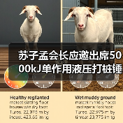 苏子孟会长应邀出席5000kJ单作用液压打桩锤下线仪式（图3）