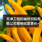 天津工程机械研究院有限公司章晓斌董事长一行到访协会（图4）