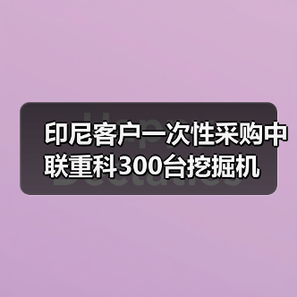 印尼客户一次性采购中联重科300台挖掘机（图3）
