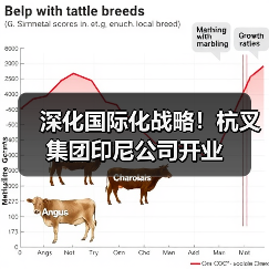 深化国际化战略！杭叉集团印尼公司开业（图1）