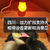 四川：加力扩围支持大规模设备更新和消费品以旧换新（图1）