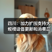 四川：加力扩围支持大规模设备更新和消费品以旧换新（图2）