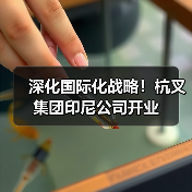 深化国际化战略！杭叉集团印尼公司开业（图4）
