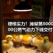 硬核实力!潍柴第800000台燃气动力下线交付(图4) 硬核实力!潍柴第800000台燃气动力下线交付(图4)
