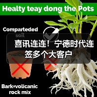 喜讯连连!宁德时代连签多个大客户(图2) 喜讯连连!宁德时代连签多个大客户(图2)