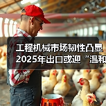 工程机械市场韧性凸显 2025年出口或迎“温和增长”（图1）