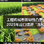 工程机械市场韧性凸显 2025年出口或迎“温和增长”（图4）