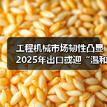 工程机械市场韧性凸显 2025年出口或迎“温和增长”（图2）