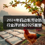 2024年机动车污染防治行业评述和2025展望(图4) 2024年机动车污染防治行业评述和2025展望(图4)