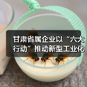 甘肃省属企业以“六大行动”推动新型工业化(图3) 甘肃省属企业以“六大行动”推动新型工业化(图3)