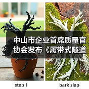 中山市企业首席质量官协会发布《履带式隧道取芯钻机》 标准立项（图4）