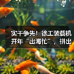 实干争先!徐工装载机开年“出海忙”,拼出新成绩(图2) 实干争先!徐工装载机开年“出海忙”,拼出新成绩(图2)