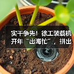 实干争先!徐工装载机开年“出海忙”,拼出新成绩(图3) 实干争先!徐工装载机开年“出海忙”,拼出新成绩(图3)