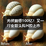 光伏目标100亿!又一行业巨头拟H股上市(图2) 光伏目标100亿!又一行业巨头拟H股上市(图2)