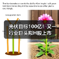 光伏目标100亿!又一行业巨头拟H股上市(图4) 光伏目标100亿!又一行业巨头拟H股上市(图4)
