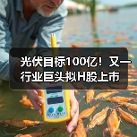 光伏目标100亿!又一行业巨头拟H股上市(图3) 光伏目标100亿!又一行业巨头拟H股上市(图3)