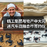 临工集团与物产中大元通汽车战略合作签约仪式举行(图4) 临工集团与物产中大元通汽车战略合作签约仪式举行(图4)