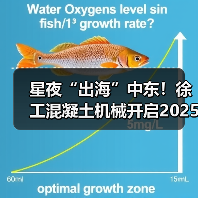 星夜“出海”中东!徐工混凝土机械开启2025新征程(图2) 星夜“出海”中东!徐工混凝土机械开启2025新征程(图2)