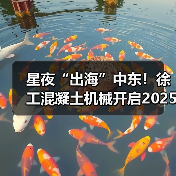 星夜“出海”中东!徐工混凝土机械开启2025新征程(图3) 星夜“出海”中东!徐工混凝土机械开启2025新征程(图3)