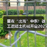 星夜“出海”中东!徐工混凝土机械开启2025新征程(图4) 星夜“出海”中东!徐工混凝土机械开启2025新征程(图4)