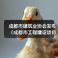 成都市建筑业协会发布《成都市工程建设项目信息模型应用评价标准》（图1）