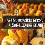 成都市建筑业协会发布《成都市工程建设项目信息模型应用评价标准》（图3）