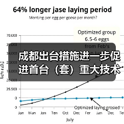 成都出台措施进一步促进首台(套)重大技术装备示范应用(图1) 成都出台措施进一步促进首台(套)重大技术装备示范应用(图1)