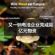 又一钠电池企业完成超亿元融资(图3) 又一钠电池企业完成超亿元融资(图3)