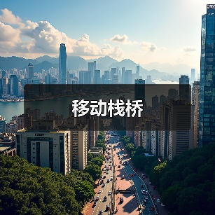 移动栈桥（图2）