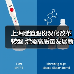 上海隧道股份深化改革转型 增添高质量发展新动能(图4) 上海隧道股份深化改革转型 增添高质量发展新动能(图4)