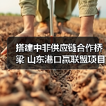 搭建中非供应链合作桥梁 山东港口赢联盟项目助力“中国制造”加速出海(图2) 搭建中非供应链合作桥梁 山东港口赢联盟项目助力“中国制造”加速出海(图2)