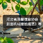 河北省质量信息协会《起重机械接地规范》等三项标准立项（图1）