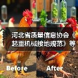 河北省质量信息协会《起重机械接地规范》等三项标准立项（图3）