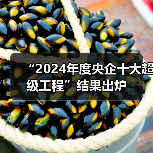 “2024年度央企十大超级工程”结果出炉(图2) “2024年度央企十大超级工程”结果出炉(图2)
