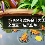 “2024年度央企十大国之重器”结果出炉(图3) “2024年度央企十大国之重器”结果出炉(图3)
