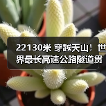 22130米 穿越天山!世界最长高速公路隧道贯通(图4) 22130米 穿越天山!世界最长高速公路隧道贯通(图4)