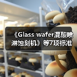 《Glass wafer混酸喷淋蚀刻机》等7项标准立项(图3) 《Glass wafer混酸喷淋蚀刻机》等7项标准立项(图3)