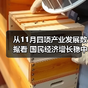 从11月四项产业发展数据看 国民经济增长稳中有序(图1) 从11月四项产业发展数据看 国民经济增长稳中有序(图1)