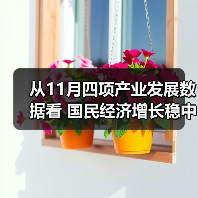 从11月四项产业发展数据看 国民经济增长稳中有序(图2) 从11月四项产业发展数据看 国民经济增长稳中有序(图2)