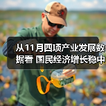 从11月四项产业发展数据看 国民经济增长稳中有序(图3) 从11月四项产业发展数据看 国民经济增长稳中有序(图3)