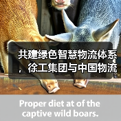 共建绿色智慧物流体系,徐工集团与中国物流签署战略合作协议(图1) 共建绿色智慧物流体系,徐工集团与中国物流签署战略合作协议(图1)