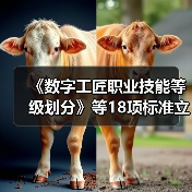 《数字工匠职业技能等级划分》等18项标准立项（图1）