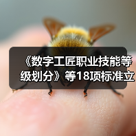 《数字工匠职业技能等级划分》等18项标准立项（图2）