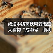 成渝中线高铁蜀安隧道大盾构“成渝号”顺利始发(图3) 成渝中线高铁蜀安隧道大盾构“成渝号”顺利始发(图3)