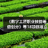 《数字工匠职业技能等级划分》等18项标准立项（图4）